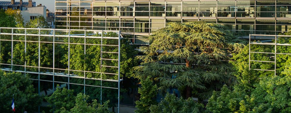 Fondation Cartier pour l'art contemporain